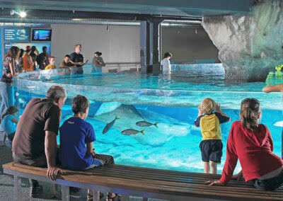 Sea Life Aquarium