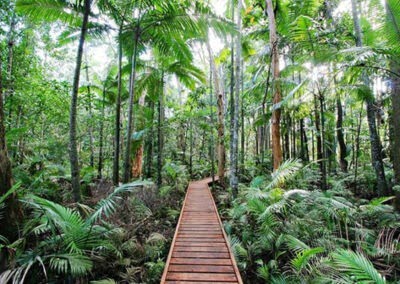 Cairns Botanical Gardens