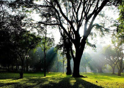 Cubbon Park