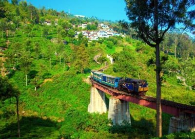 Nilgiri Mountain Railway