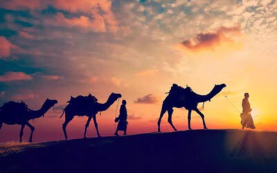 Rajasthan