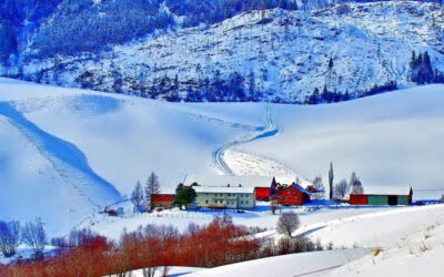 Shimla and Manali