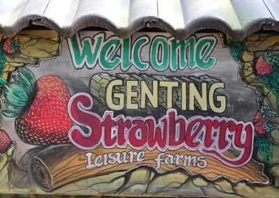 Strawberry Leisure Farms
