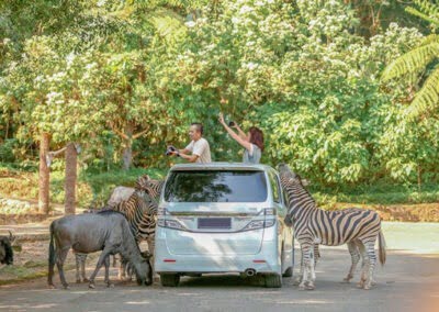 Taman Safari