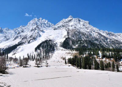 Thajiwas Snow Glacier