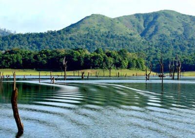 Thekkady Lake