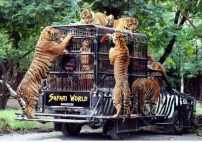 Safari World